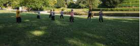 Corso di Kung Fu Shaolin al Parco Tarello e a Moniga
